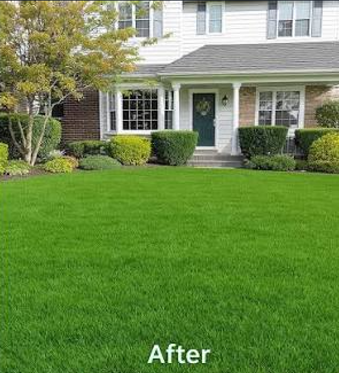 Turf after cleaning
